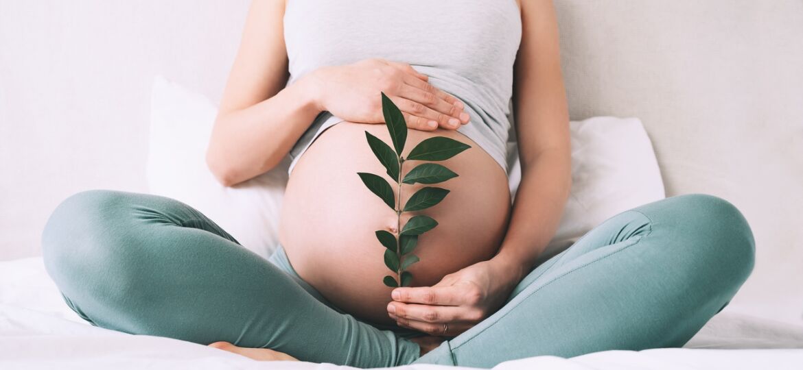 Alimentos amigos da fertilidade