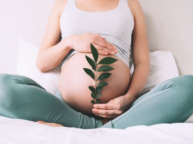 Alimentos amigos da fertilidade