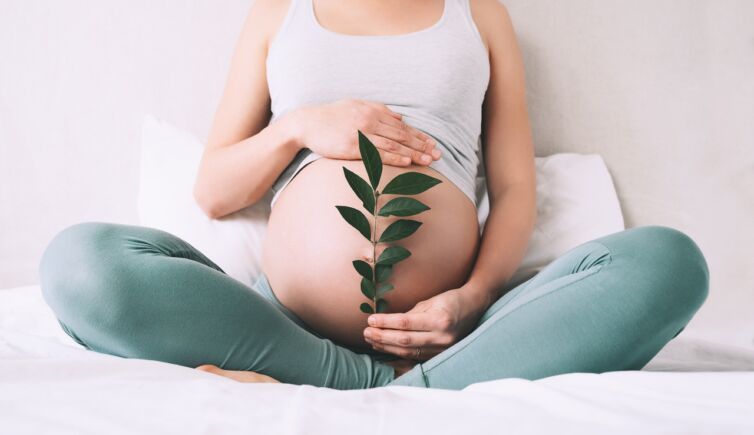 Alimentos amigos da fertilidade