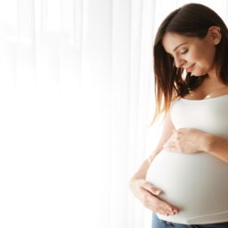 suplementação e dieta para FIV