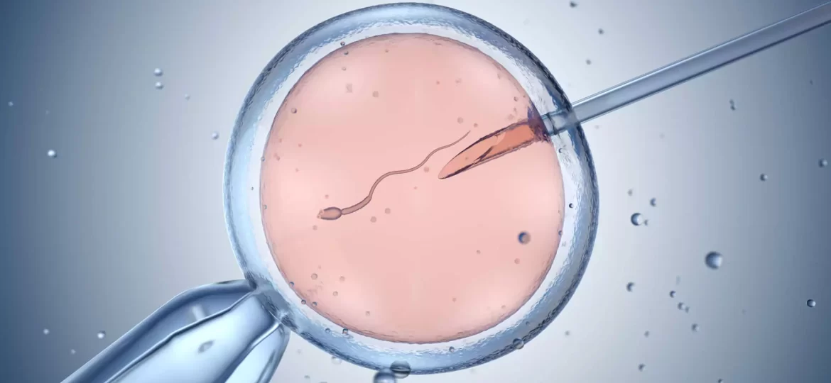 fazer fiv em 2025 fertilização in vitro